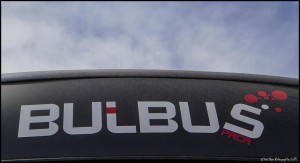 bulbus-060614-1002g